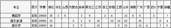 2024年武汉传媒学院音乐舞蹈类专业分省招生计划