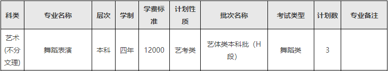 2024年西南民族大学音乐舞蹈类分省招生计划